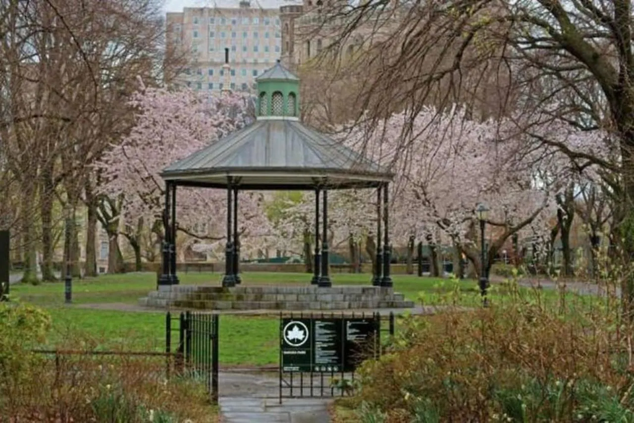 Newly Renovated 3Br Oasis Walk To Columbia Uni Villa New York Holiday home